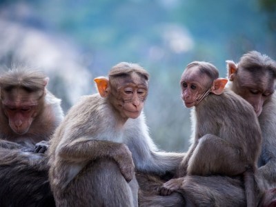 Cuando la maldad se normaliza en lo&nbsp;cotidiano